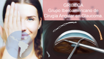 Grupo Iberoamericano de Cirugía Angular en Glaucoma (GRIBECA)